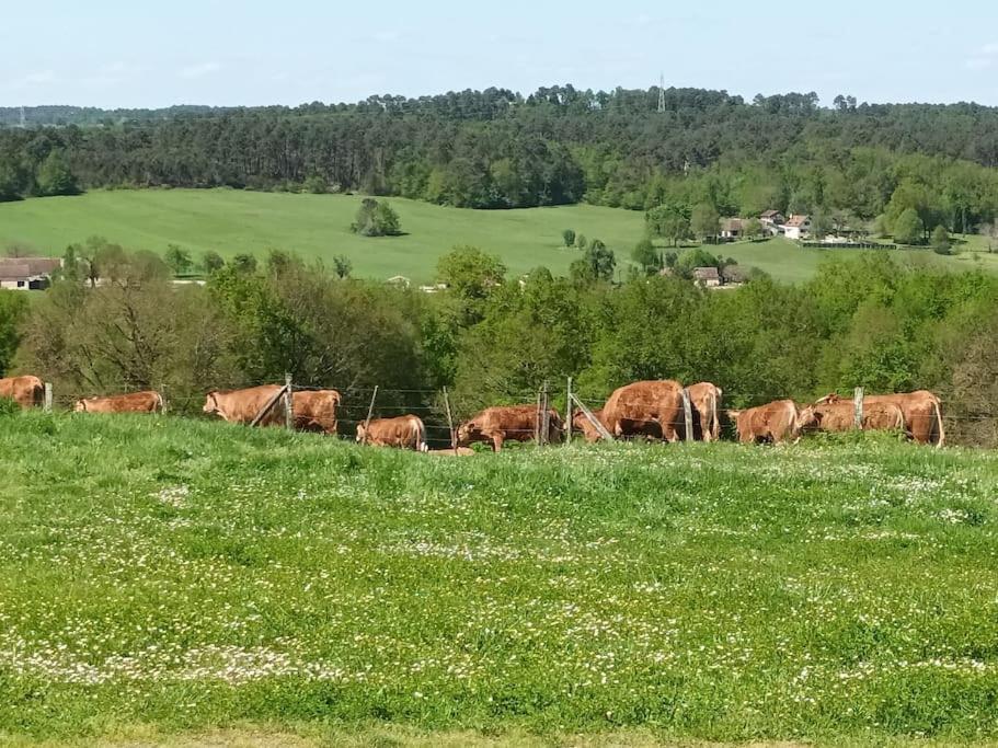 Ferienhaus Aux Bois D'en Temps