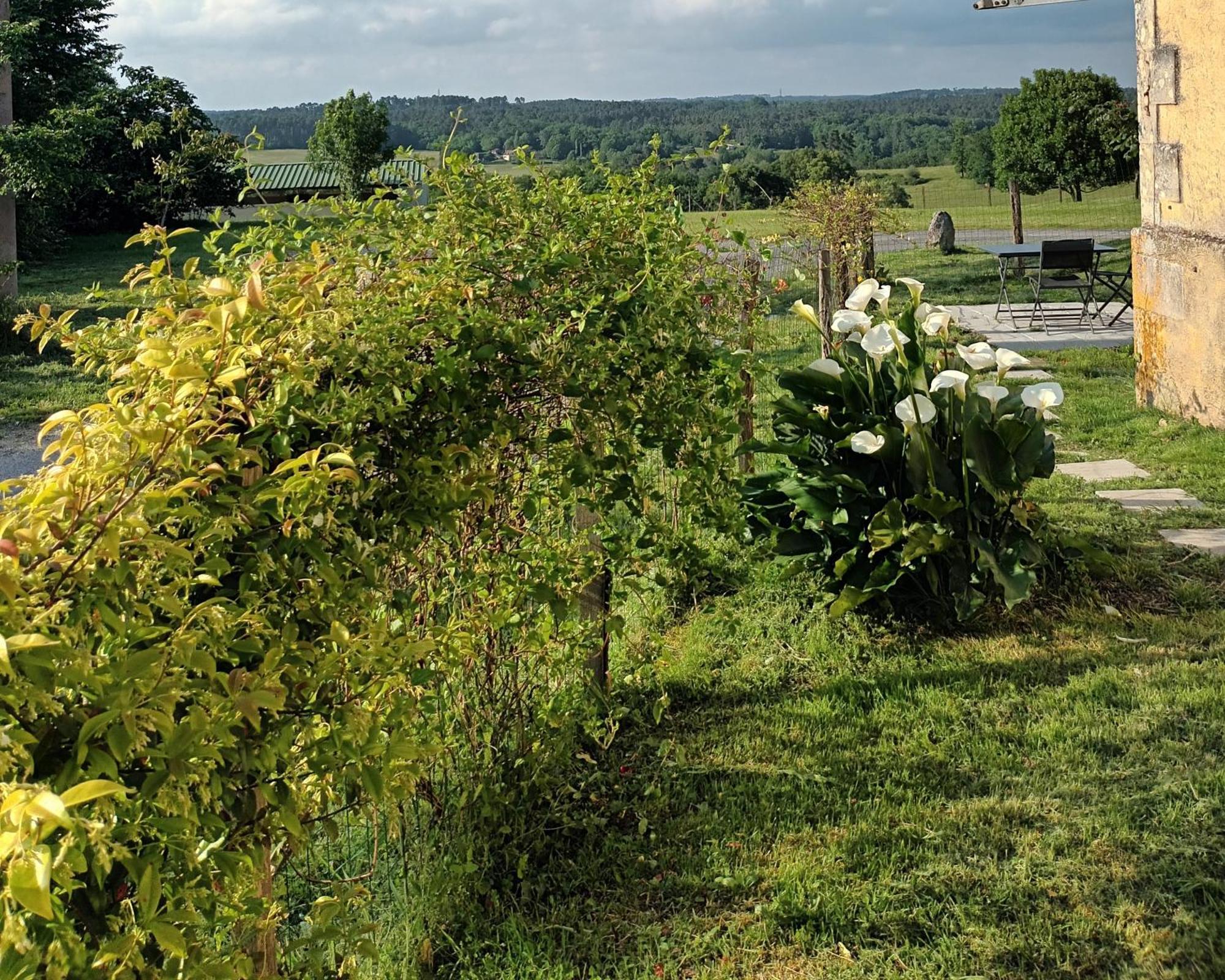 Aux Bois D'en Temps Ferienhaus Lunas (Dordogne)