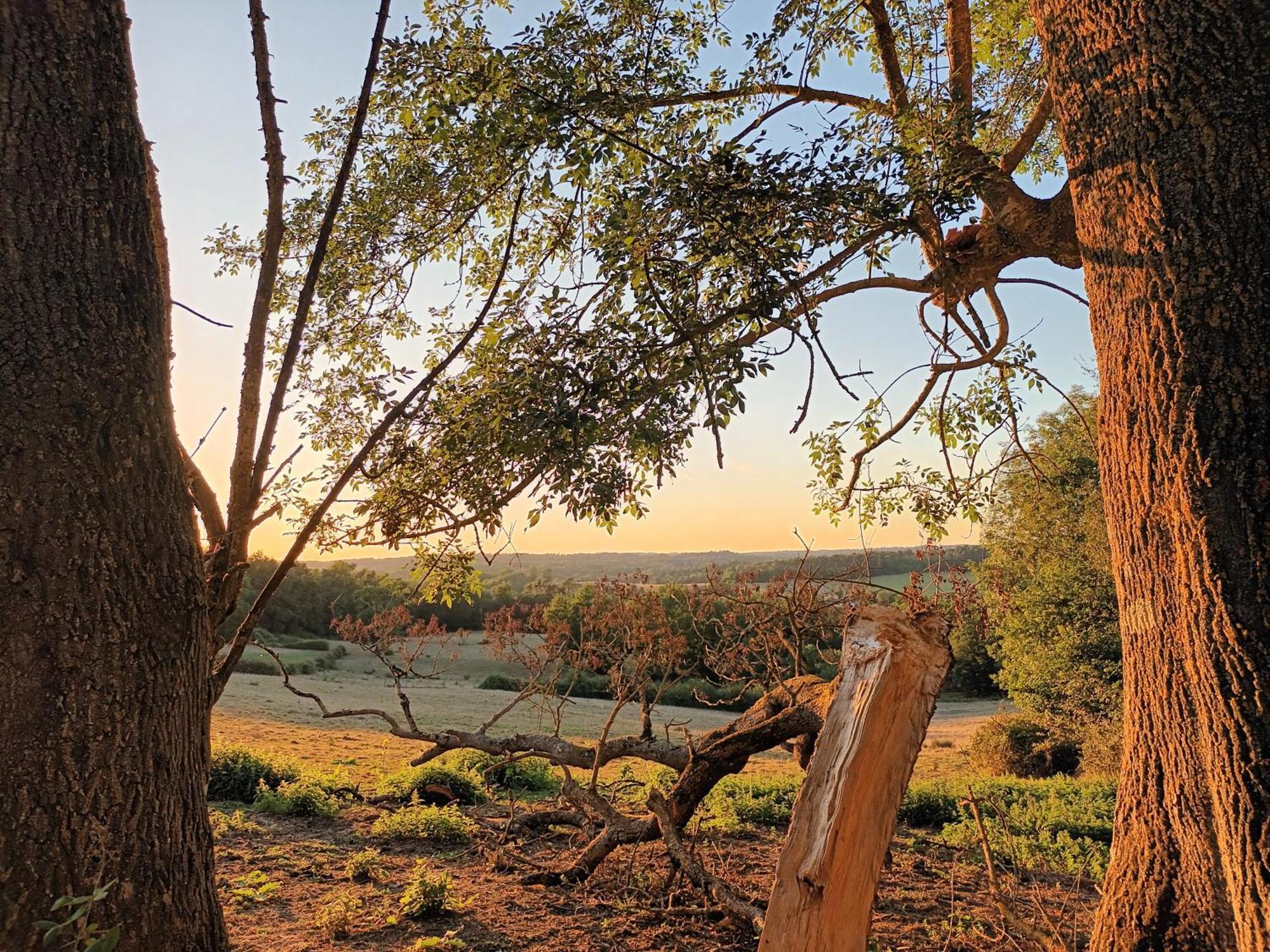 Aux Bois D'en Temps * Lunas (Dordogne)